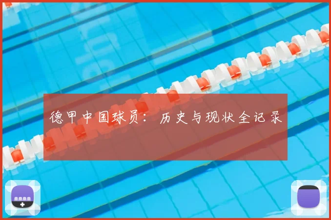 德甲中国球员：历史与现状全记录