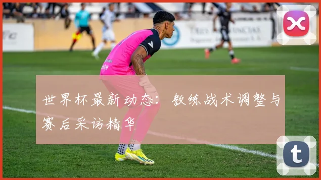 世界杯最新动态：教练战术调整与赛后采访精华