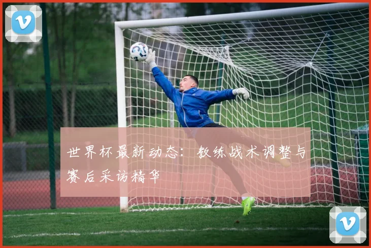 世界杯最新动态：教练战术调整与赛后采访精华