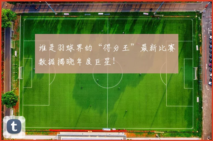 谁是羽球界的“得分王”最新比赛数据揭晓年度巨星！