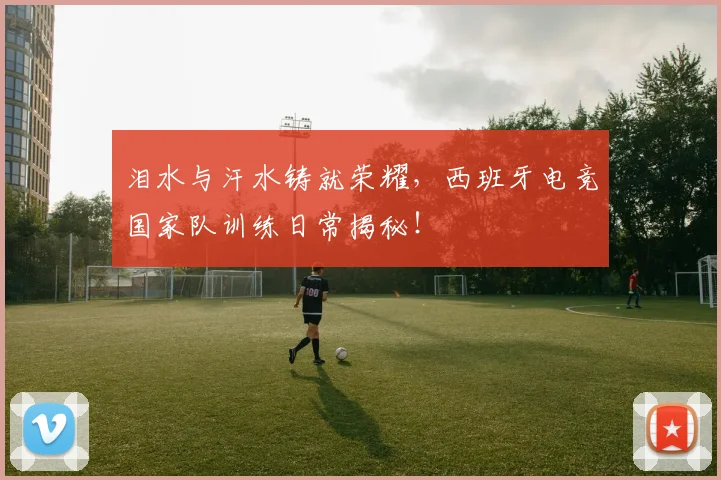 泪水与汗水铸就荣耀，西班牙电竞国家队训练日常揭秘！