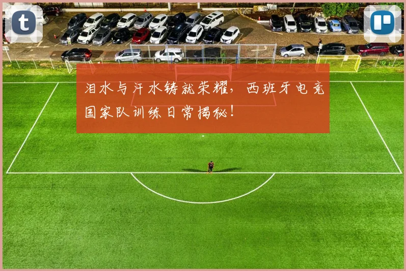 泪水与汗水铸就荣耀，西班牙电竞国家队训练日常揭秘！