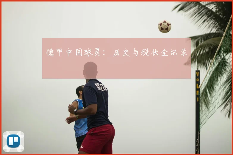 德甲中国球员：历史与现状全记录