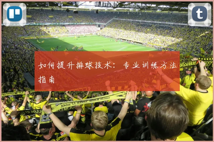 如何提升排球技术：专业训练方法指南