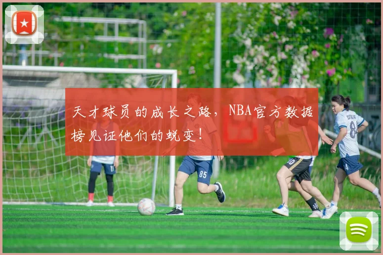 天才球员的成长之路，NBA官方数据榜见证他们的蜕变！