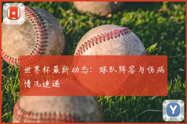 世界杯最新动态：球队阵容与伤病情况速递