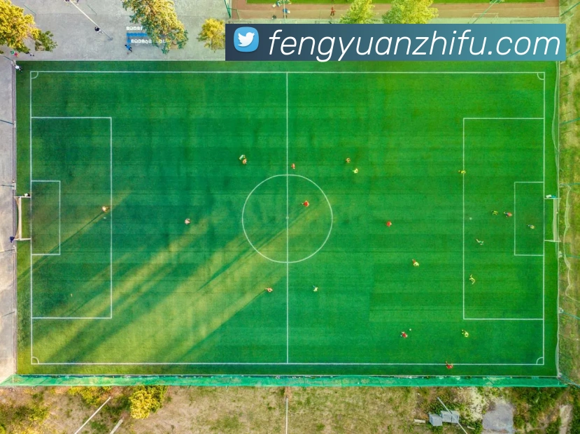 奖项图2